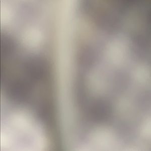 Meet your Posher, Jude